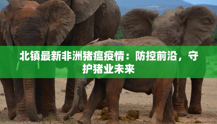 北镇最新非洲猪瘟疫情：防控前沿，守护猪业未来