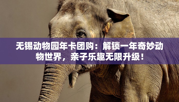 无锡动物园年卡团购：解锁一年奇妙动物世界，亲子乐趣无限升级！