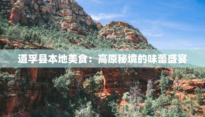 道孚县本地美食：高原秘境的味蕾盛宴