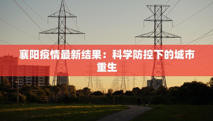 襄阳疫情最新结果：科学防控下的城市重生