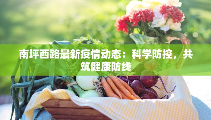 南坪西路最新疫情动态：科学防控，共筑健康防线