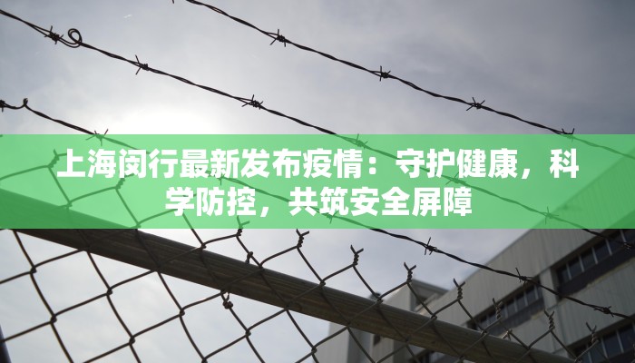 甘肃最新疫情作文