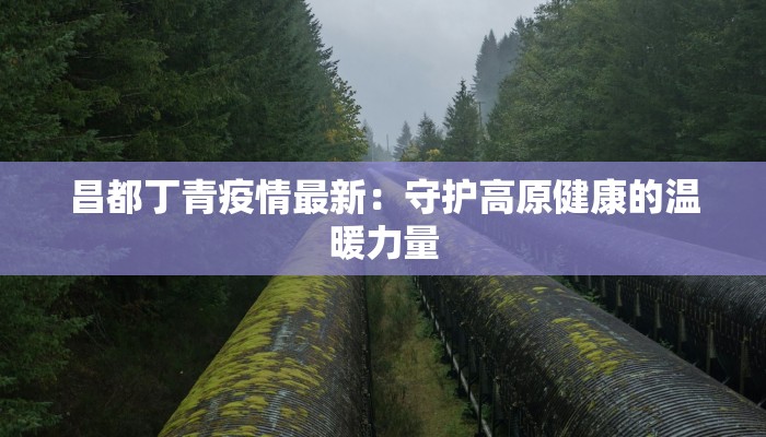 昌都丁青疫情最新：守护高原健康的温暖力量