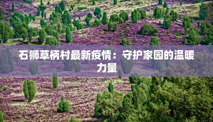 石狮草柄村最新疫情:守护家园的温暖力量 石狮草柄村最新疫情:守护家园的温暖力量