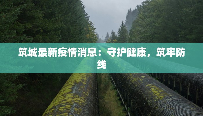 筑城最新疫情消息：守护健康，筑牢防线
